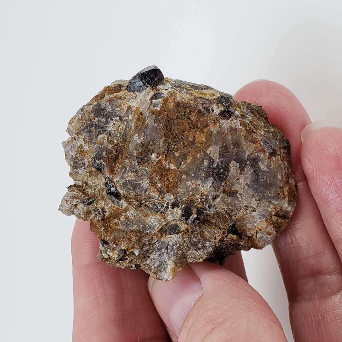  Zircon var. Cyrtolite Crystals | 38.10 Grams | Saranac Mine | Tory Hill, Ontario Canada 4