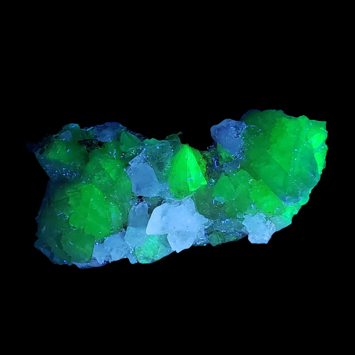   Adamite Crystals on Matrix | 16.5 grams | Fluorescent | Mapimi, Durango, Mexico | SO24 