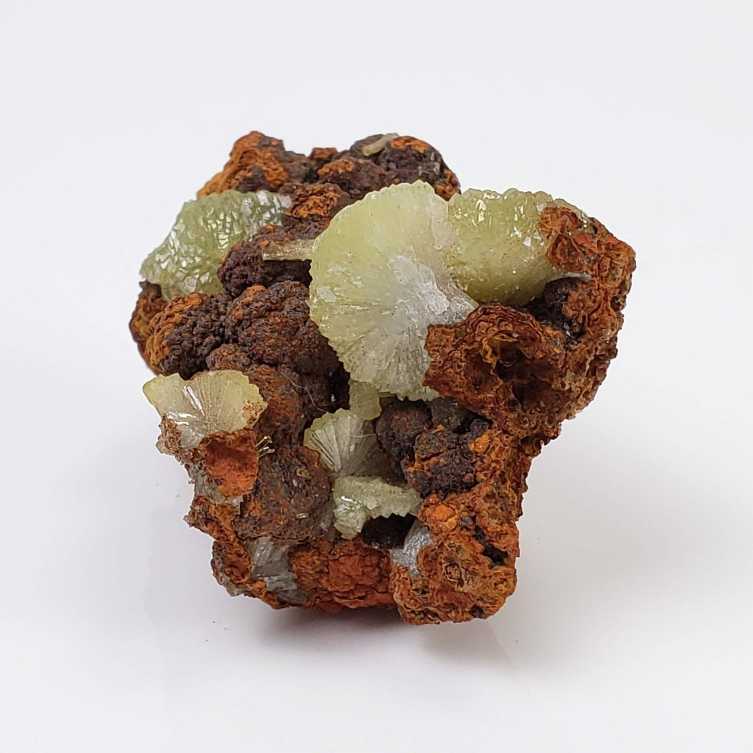 Adamite Crystals on Matrix | 17 grams | Mina Ojuela, Mapimi, Durango, Mexico 2