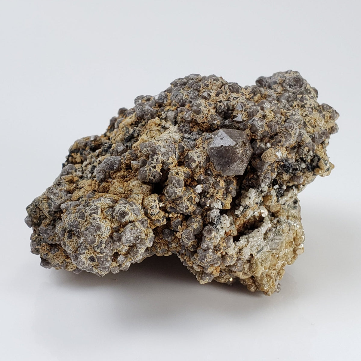 Albite, Pyrite, Siderite and Terminated Quartz Crystal Cluster | 119.5 gr | Mont St - Hilaire, Quebec 8