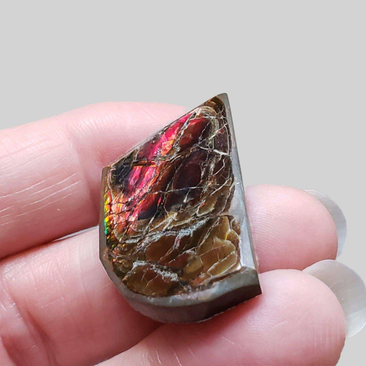 Ammolite Gem | Ammonite | Fancy Cabochon | 34x21mm 42.2ct | Canada