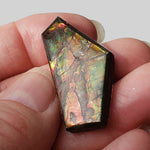 Ammolite Gem | Ammonite | Fancy Cabochon | 38x19mm 35ct | Canada