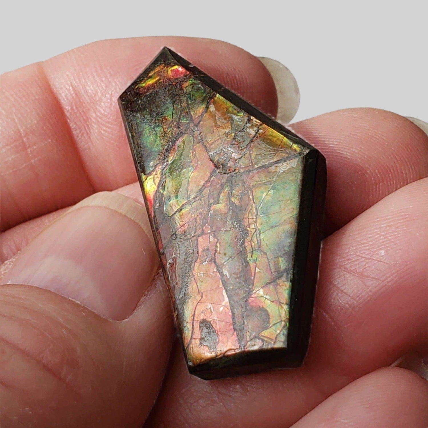  Ammolite Gem Ammonite Fancy Cabochon 35ct from Canada 