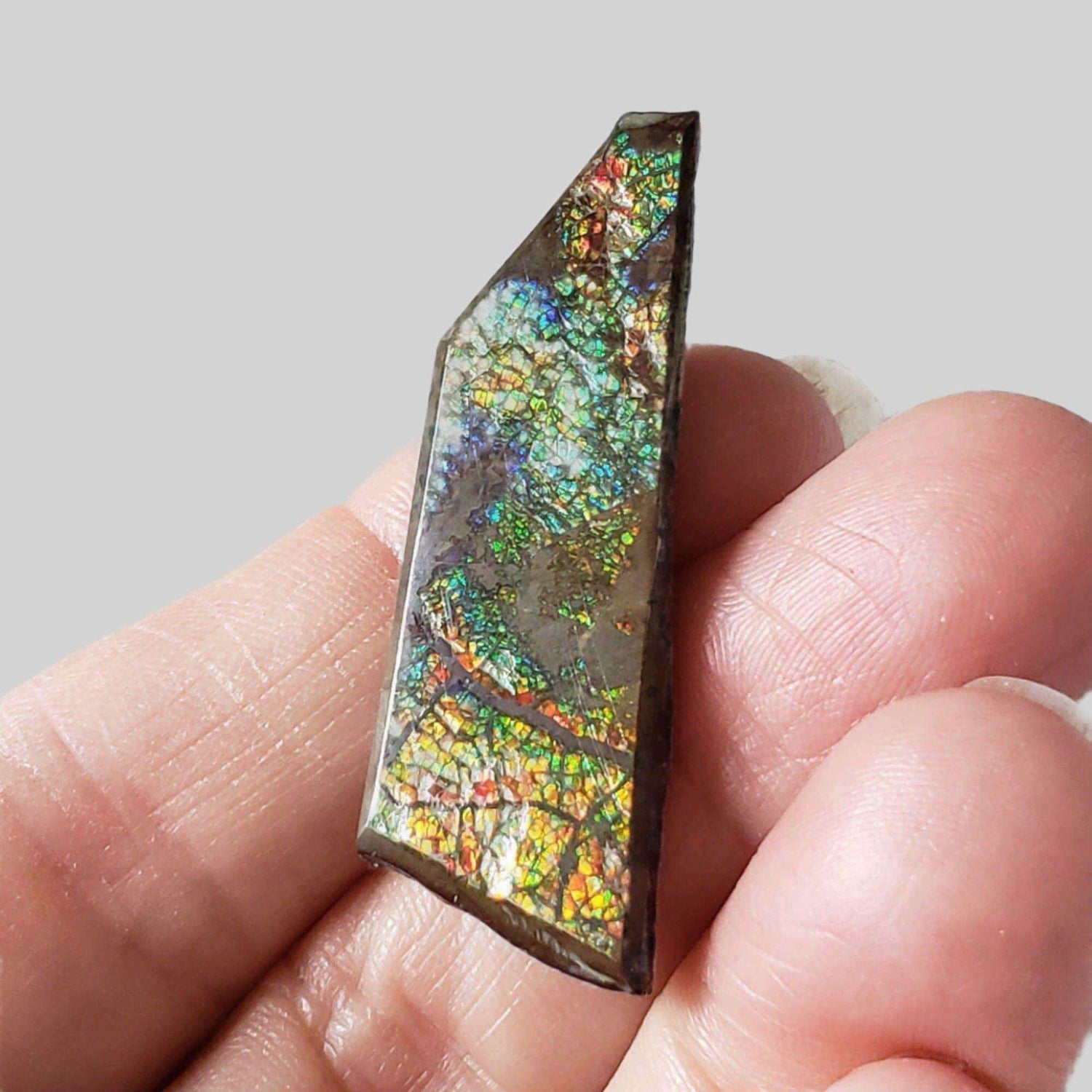  Ammolite Gem Ammonite Fancy Cabochon 35.15ct from Canada 