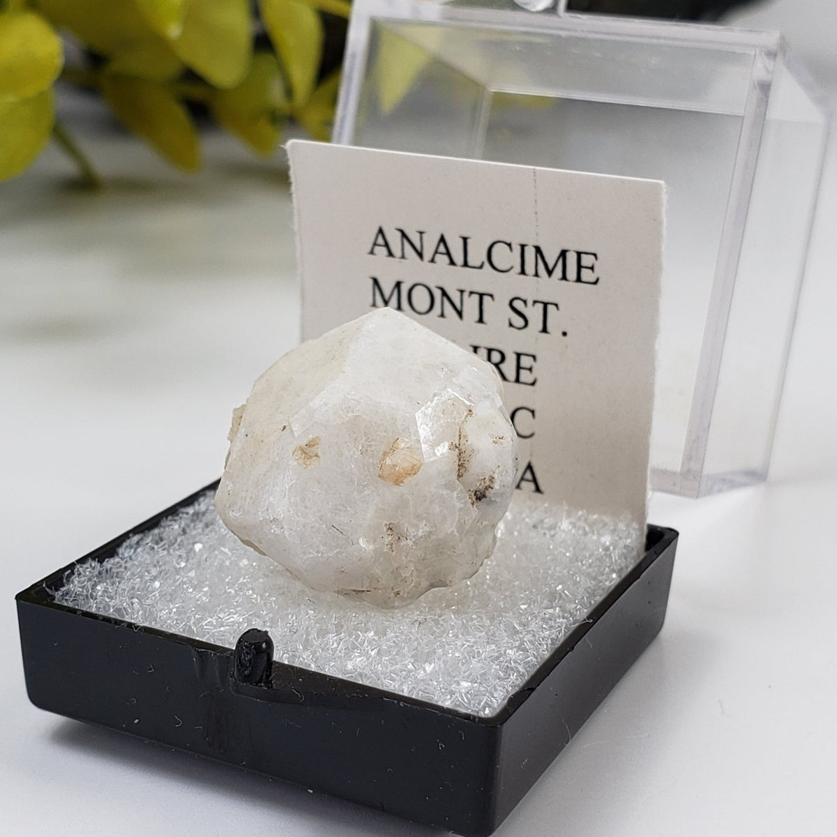 Analcime Crystal | Perky Box Thumbnail Specimen | Poudrette Quarry, Mont Saint-Hilaire | Canagem.com