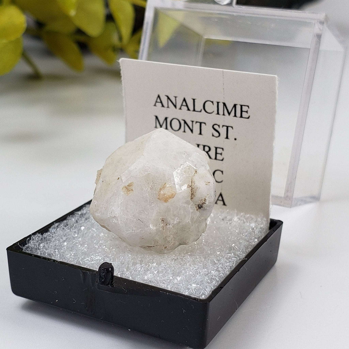 Analcime Crystal  | Perky Box Thumbnail Specimen | Poudrette Quarry, Mont Saint-Hilaire