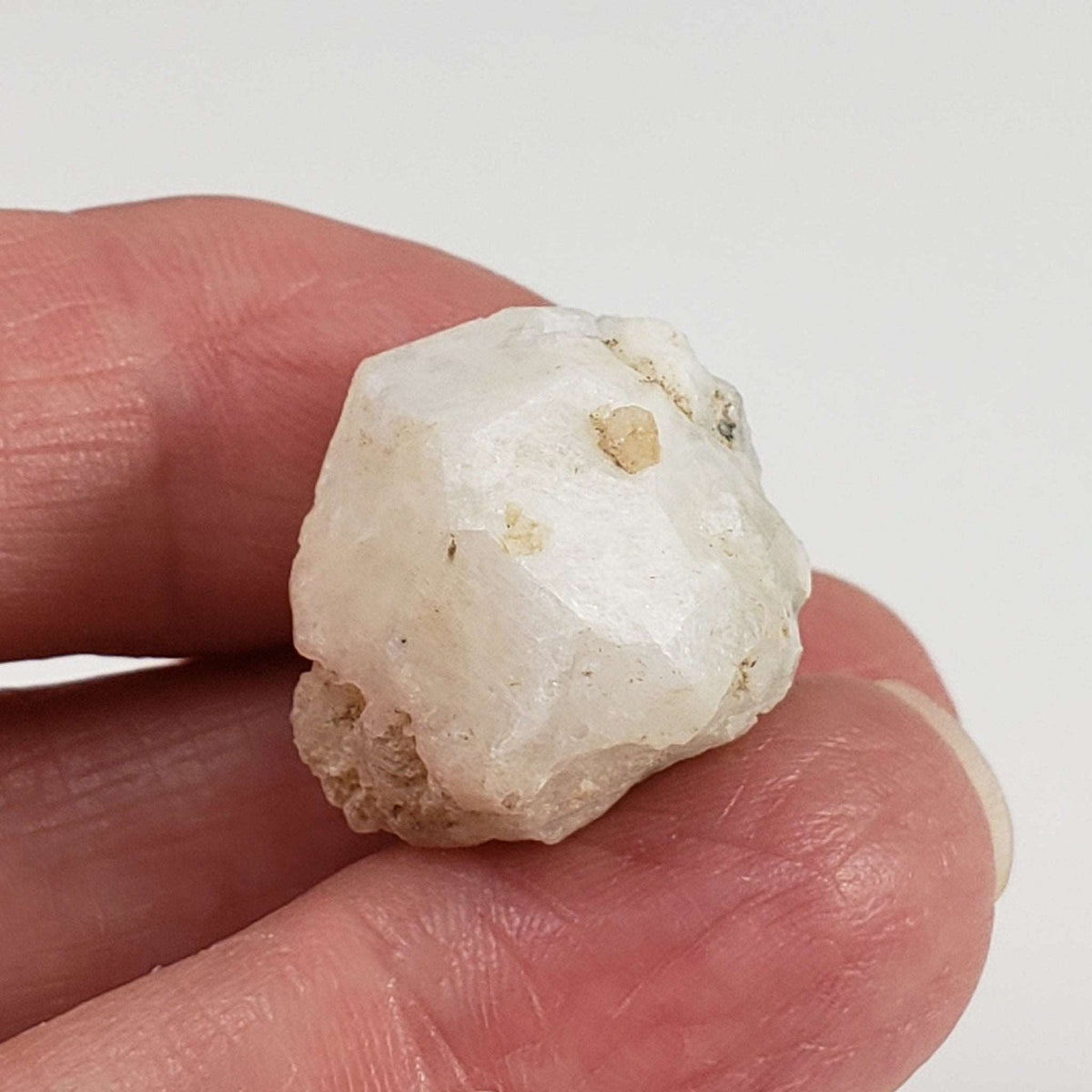 Analcime Crystal  | Perky Box Thumbnail Specimen | Poudrette Quarry, Mont Saint-Hilaire