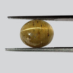 Apatite Cats Eye | Oval Cabochon | Honey Green | 13.2x11.2mm 8.95ct | Appraisal included