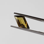 Apatite (Olive) | Lozenge Cut | Honey Green | 13.7x6.3mm 2.2ct 2