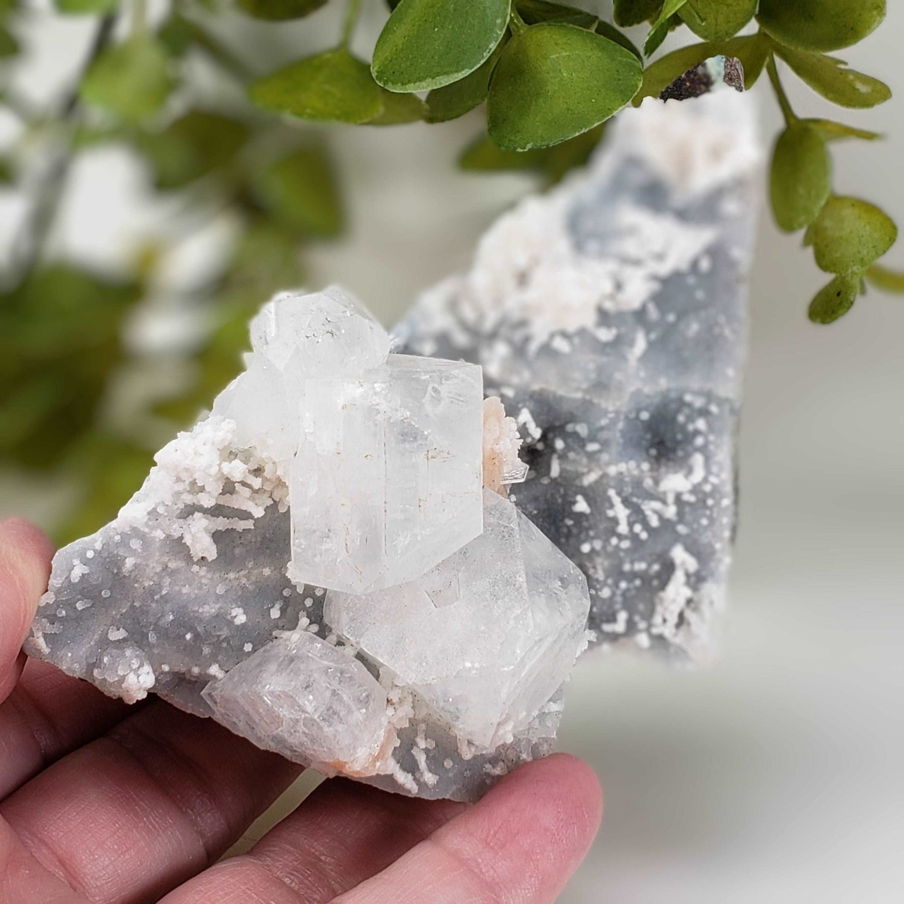 Apophyllite and Stilbite on Chalcedony Druse | 302gr | Jalgaon, India 3