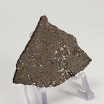   Arroyo Aguiar Meteorite | Rare & Large 11.69 Gr | Observed Fall | H5 Chondrite | Santa Fe Prov. Argentina 