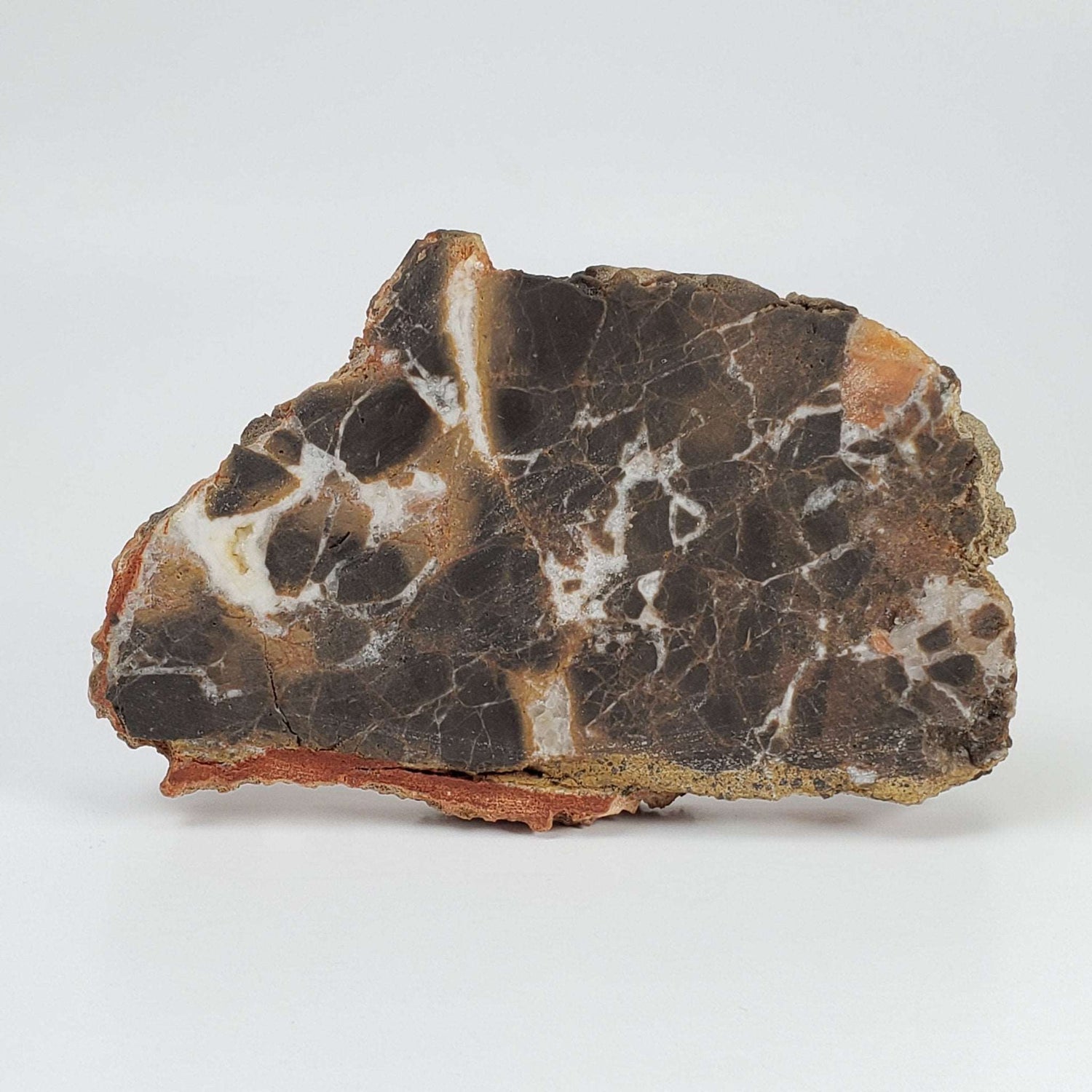  Azuara Impact Breccia 170.9 Grams Rubielos de la Cerida Impact Structure Spain 