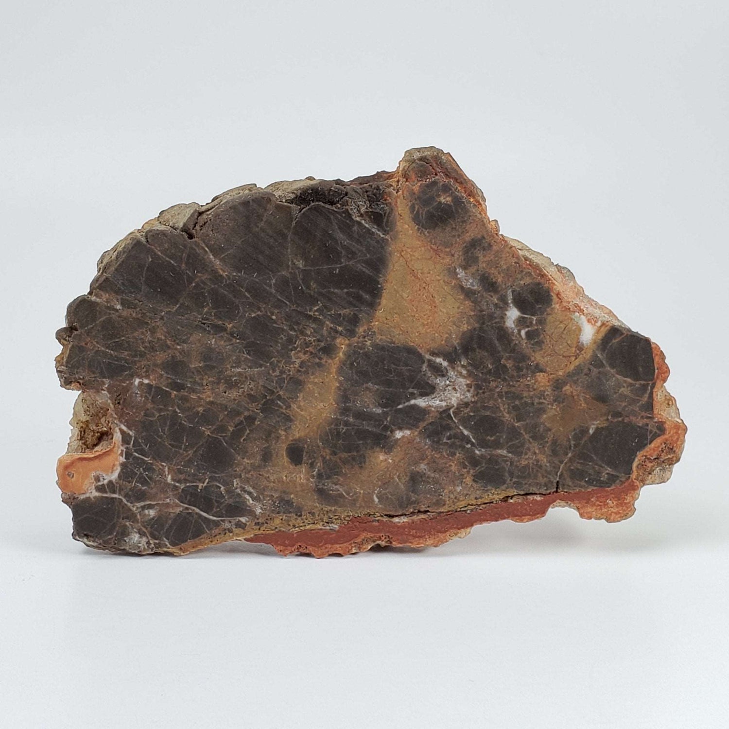  Azuara Impact Breccia 170.9 Grams Rubielos de la Cerida Impact Structure Spain 