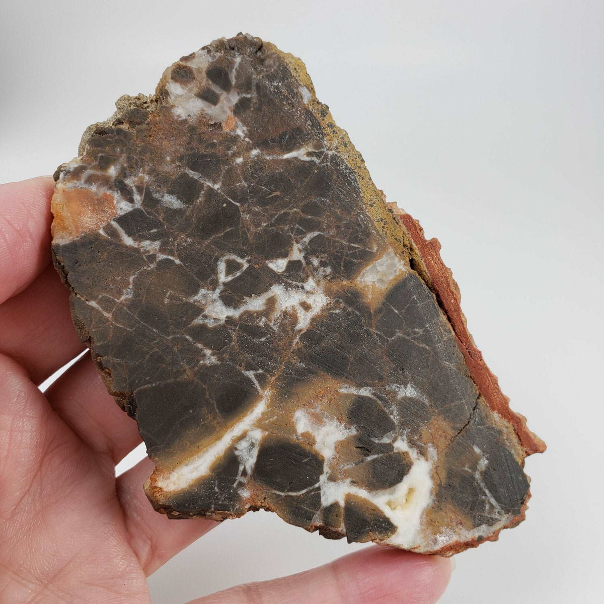 Azuara Impact Breccia | 170.9 Grams | Rubielos de la Cerida Impact Structure, Spain 6