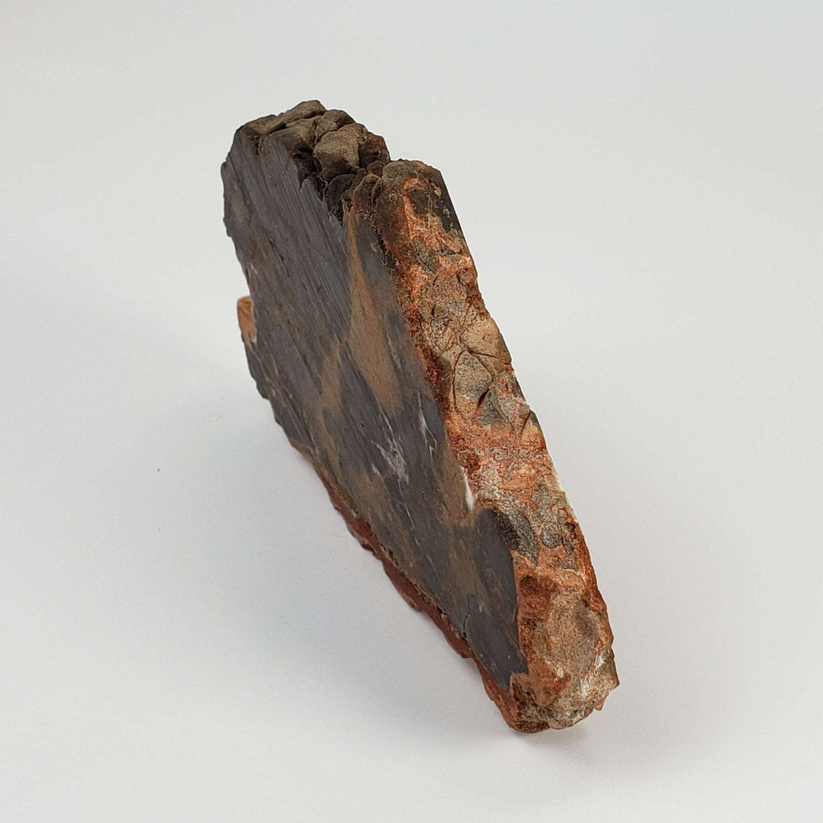 Azuara Impact Breccia | 170.9 Grams | Rubielos de la Cerida Impact Structure, Spain 7