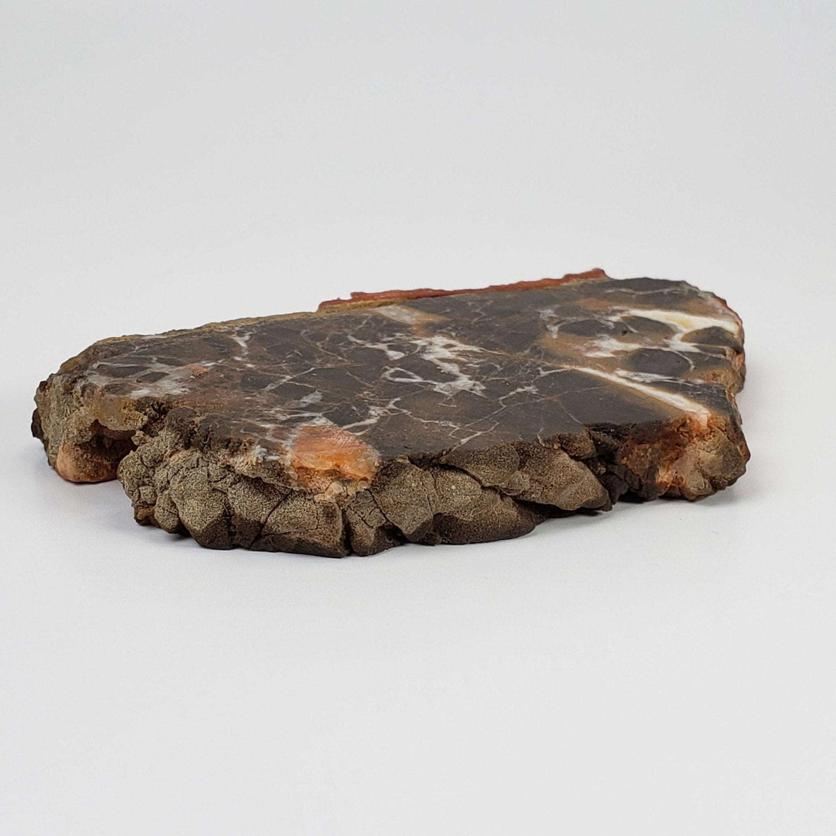 Azuara Impact Breccia | 170.9 Grams | Rubielos de la Cerida Impact Structure, Spain 3