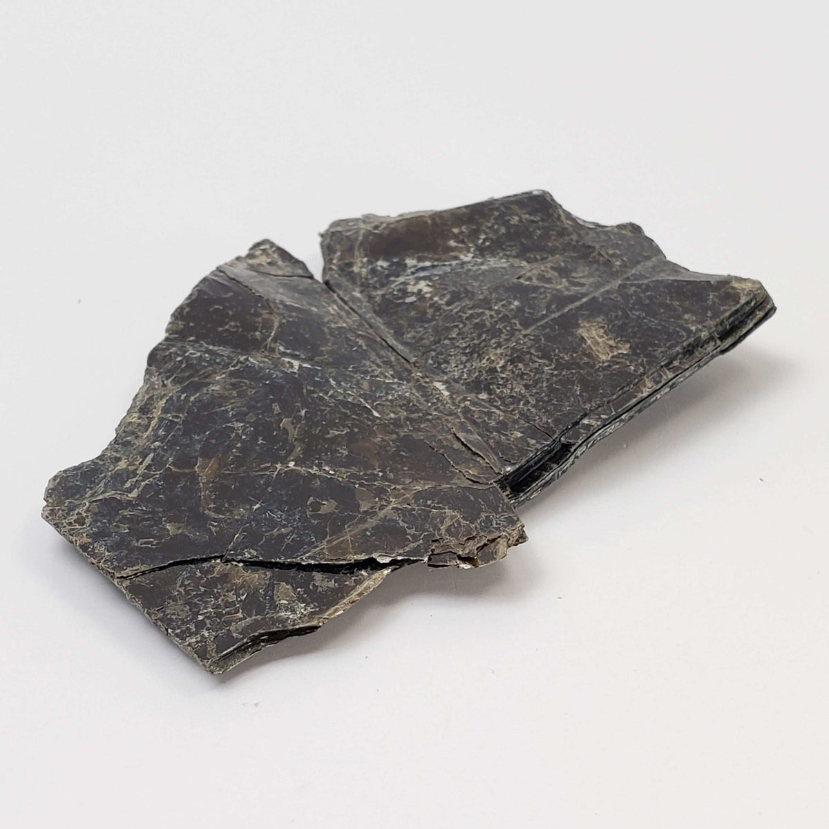   Biotite Mica Book | Black Crystal | 48.8 Grams | Ontario, Canada 