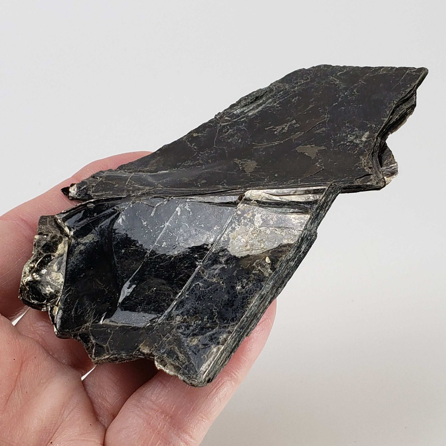   Biotite Mica Book | Black Crystal | 48.8 Grams | Ontario, Canada 