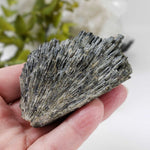  Black Kyanite 164 grams from Marilac, Minas Gerais, Brazil 