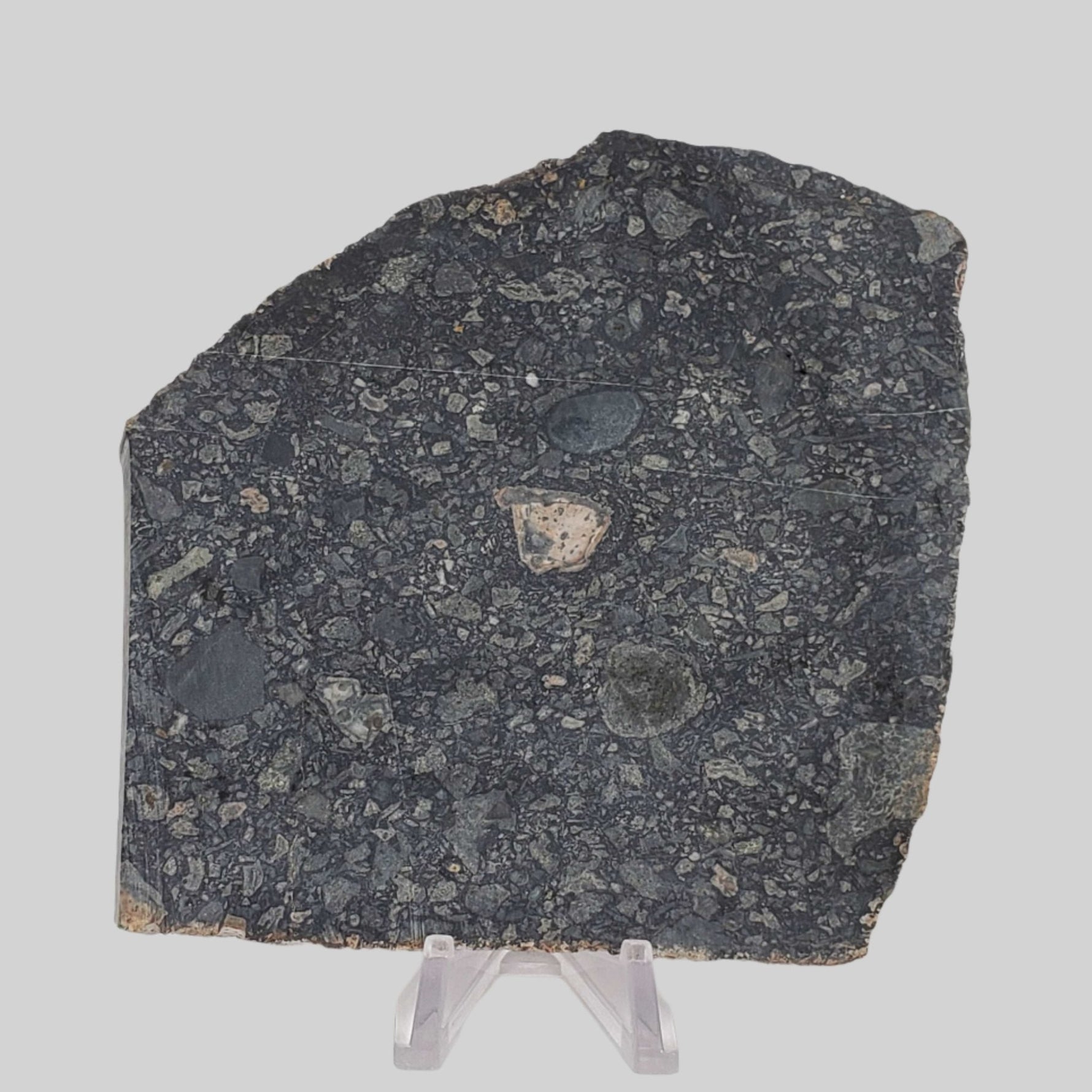   Black Onaping | 191 Grams | Impactite Breccia Slice | Sudbury Structure, Canada 