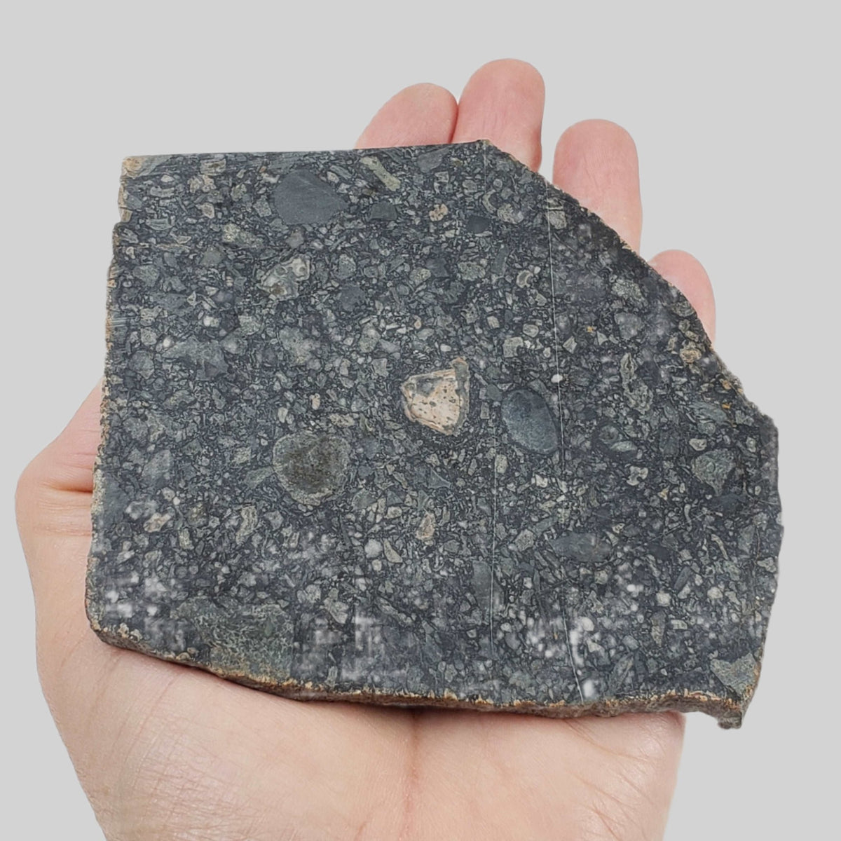   Black Onaping | 191 Grams | Impactite Breccia Slice | Sudbury Structure, Canada 