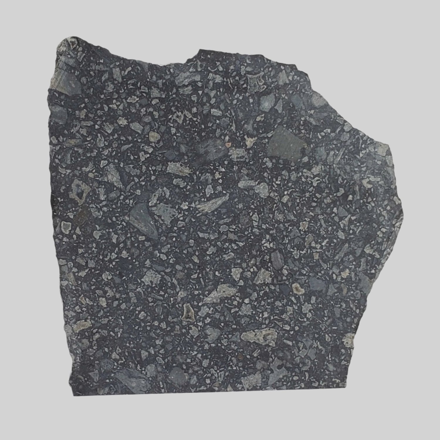   Black Onaping | 217 Grams | Impactite Breccia Slice | Sudbury Structure, Canada 