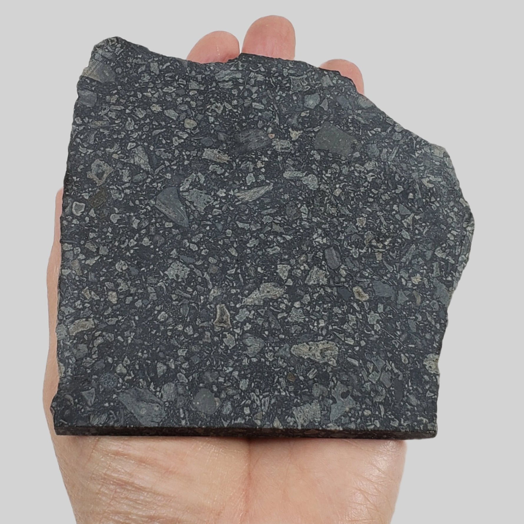   Black Onaping | 217 Grams | Impactite Breccia Slice | Sudbury Structure, Canada 