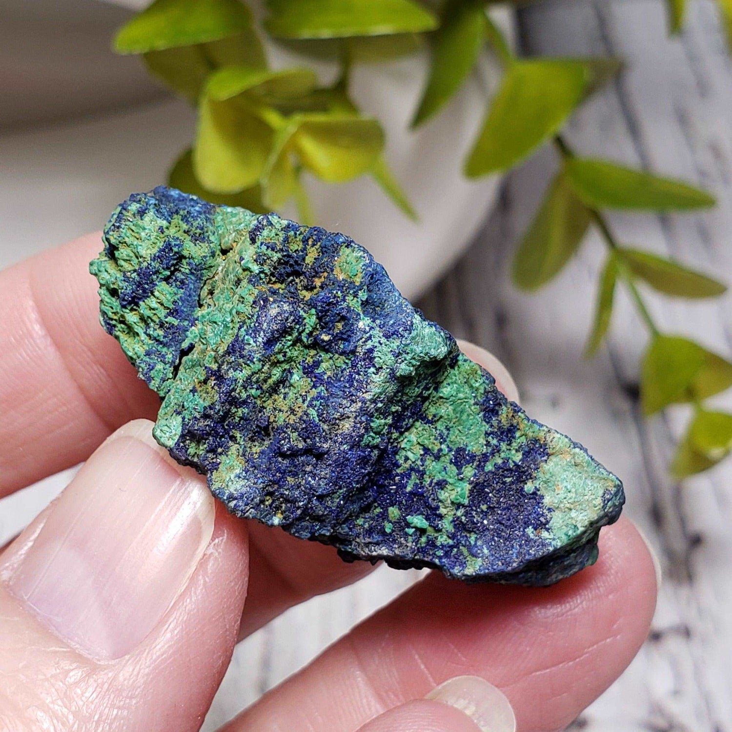  Azurite and Malachite Crystal 24.7g from Bou Beker, Morocco 