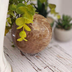 Brown Aragonite Sphere | 107 mm, 4.2 in | 1.9 kg 3