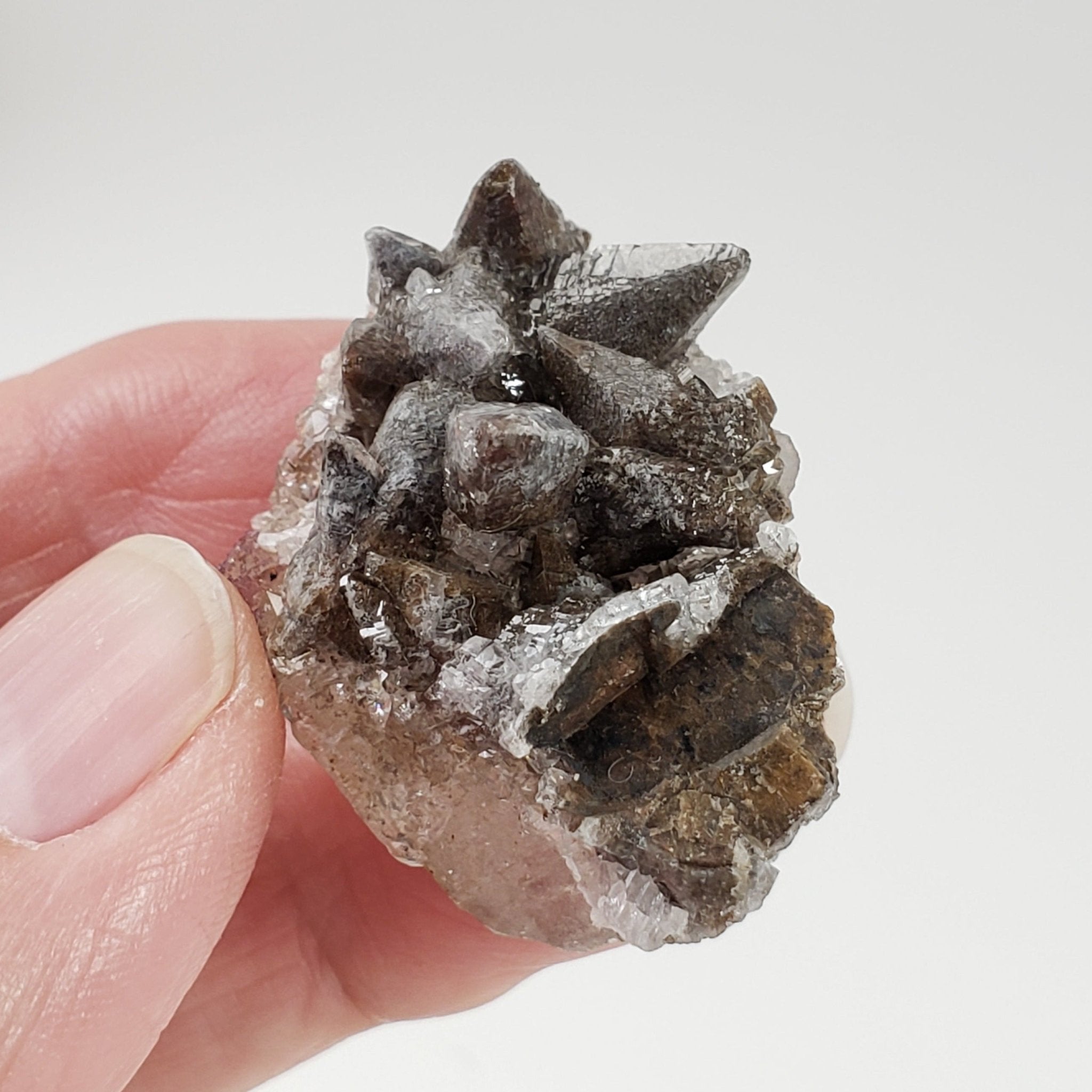 Store 45gr. Gemmy Dog Tooth Calcite Crystals. Santa Eulalia Chihuahua Mexico.