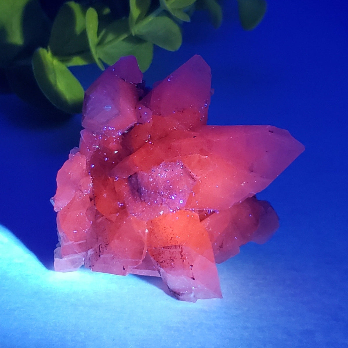 Calcite with Hematite on Matrix | 58 grams | Fluorescent Crystal | Lane's Quarry, Westfield MA