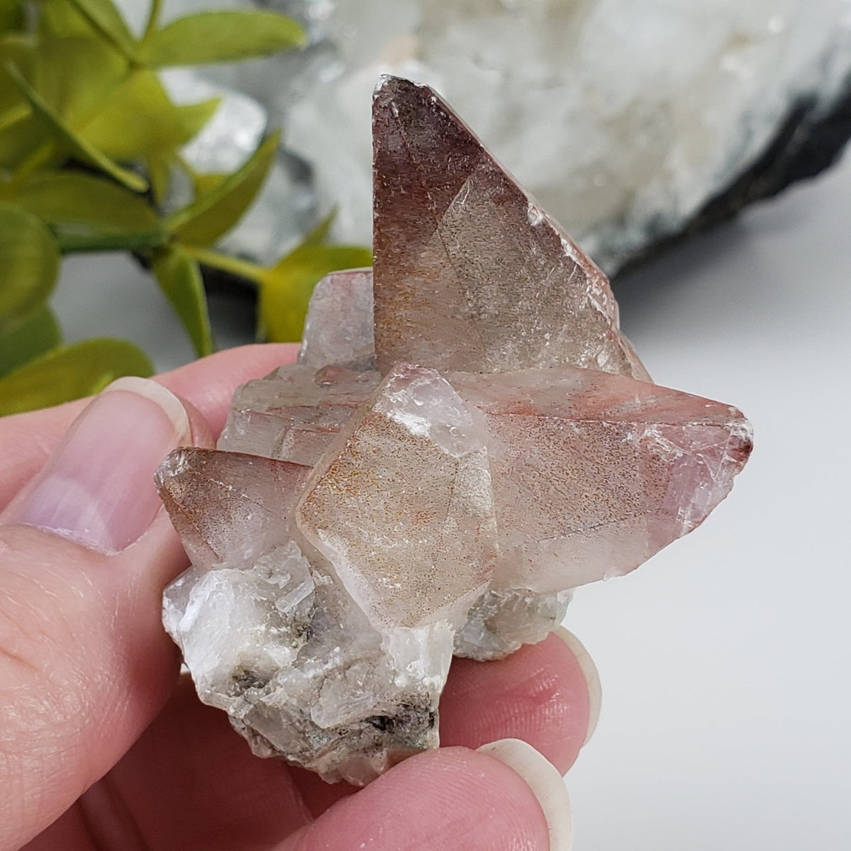 Calcite with Hematite on Matrix | 66.8 grams | Fluorescent Crystal | Lane's Quarry, Westfield MA