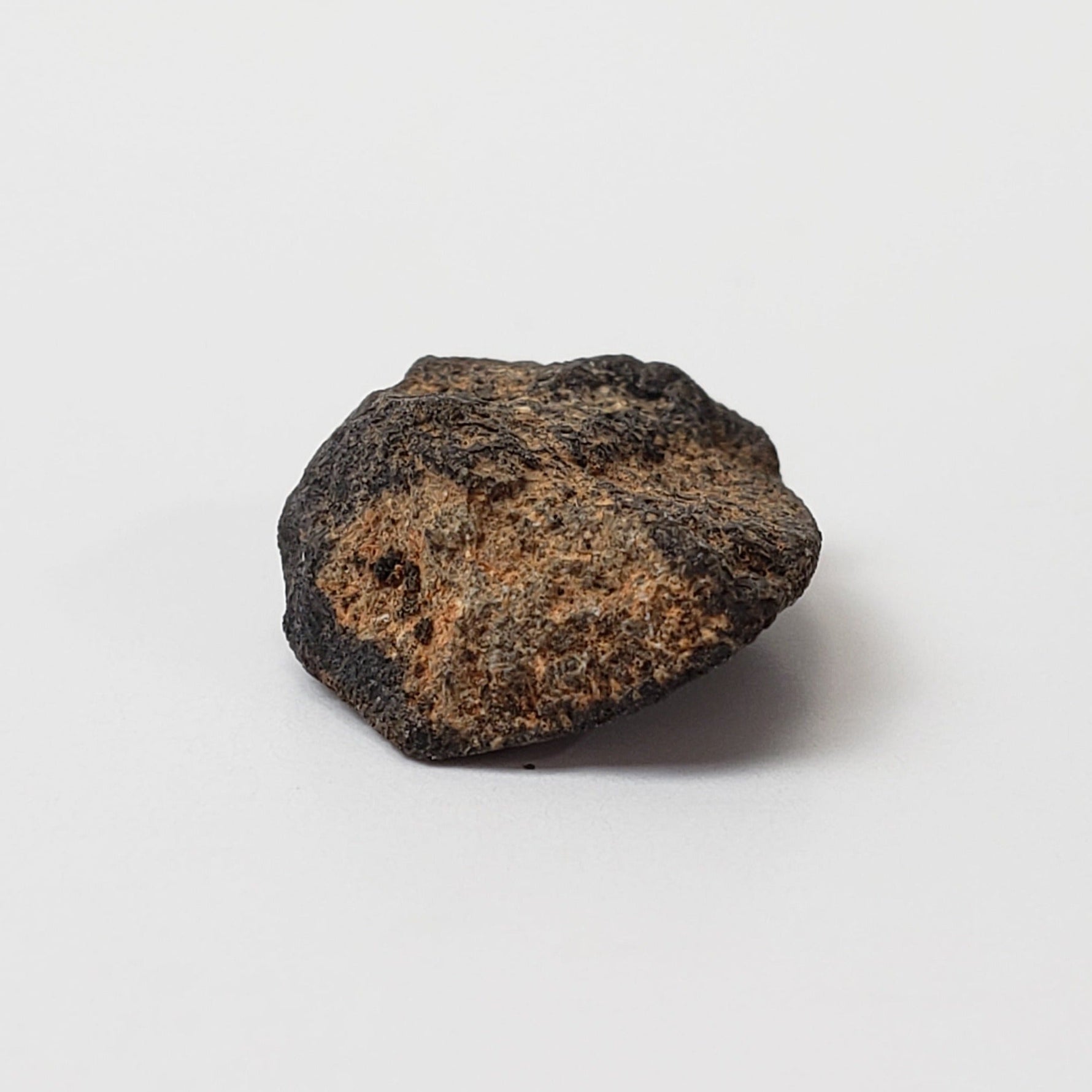   Camel Donga Meteorite | 1.42 Grams | Crusted Individual | Eucrite | Australia 