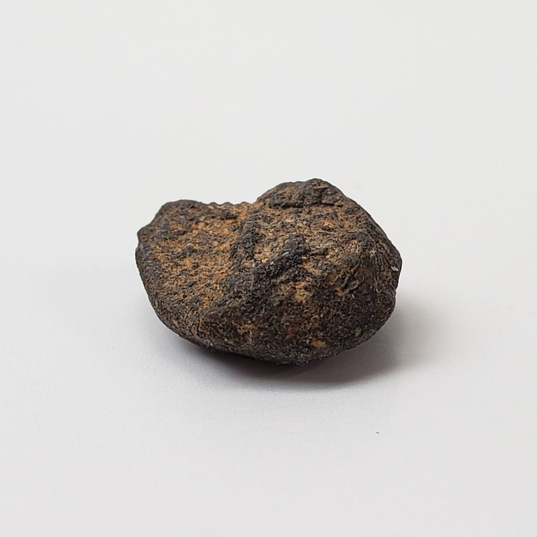   Camel Donga Meteorite | 1.42 Grams | Crusted Individual | Eucrite | Australia 