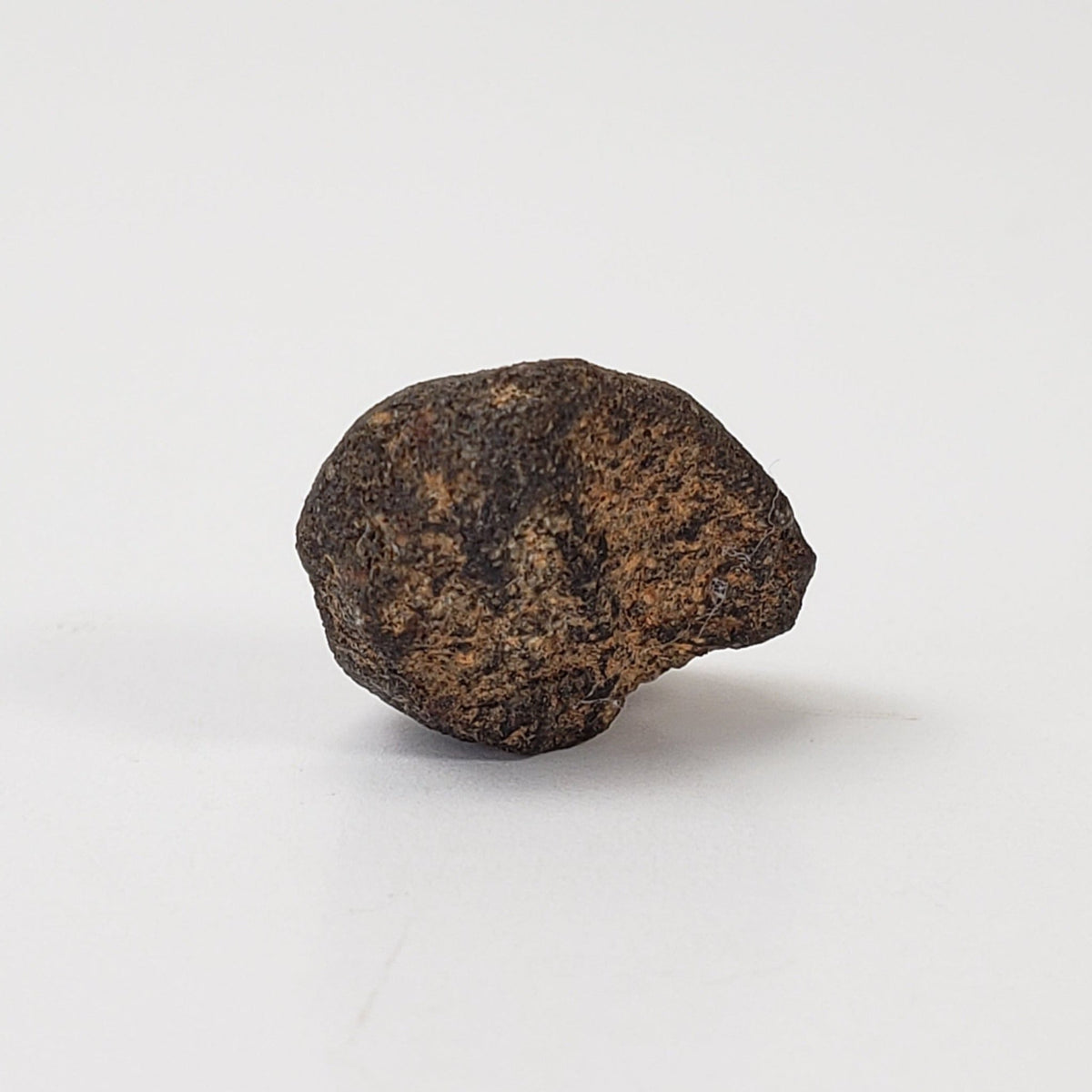   Camel Donga Meteorite | 1.42 Grams | Crusted Individual | Eucrite | Australia 