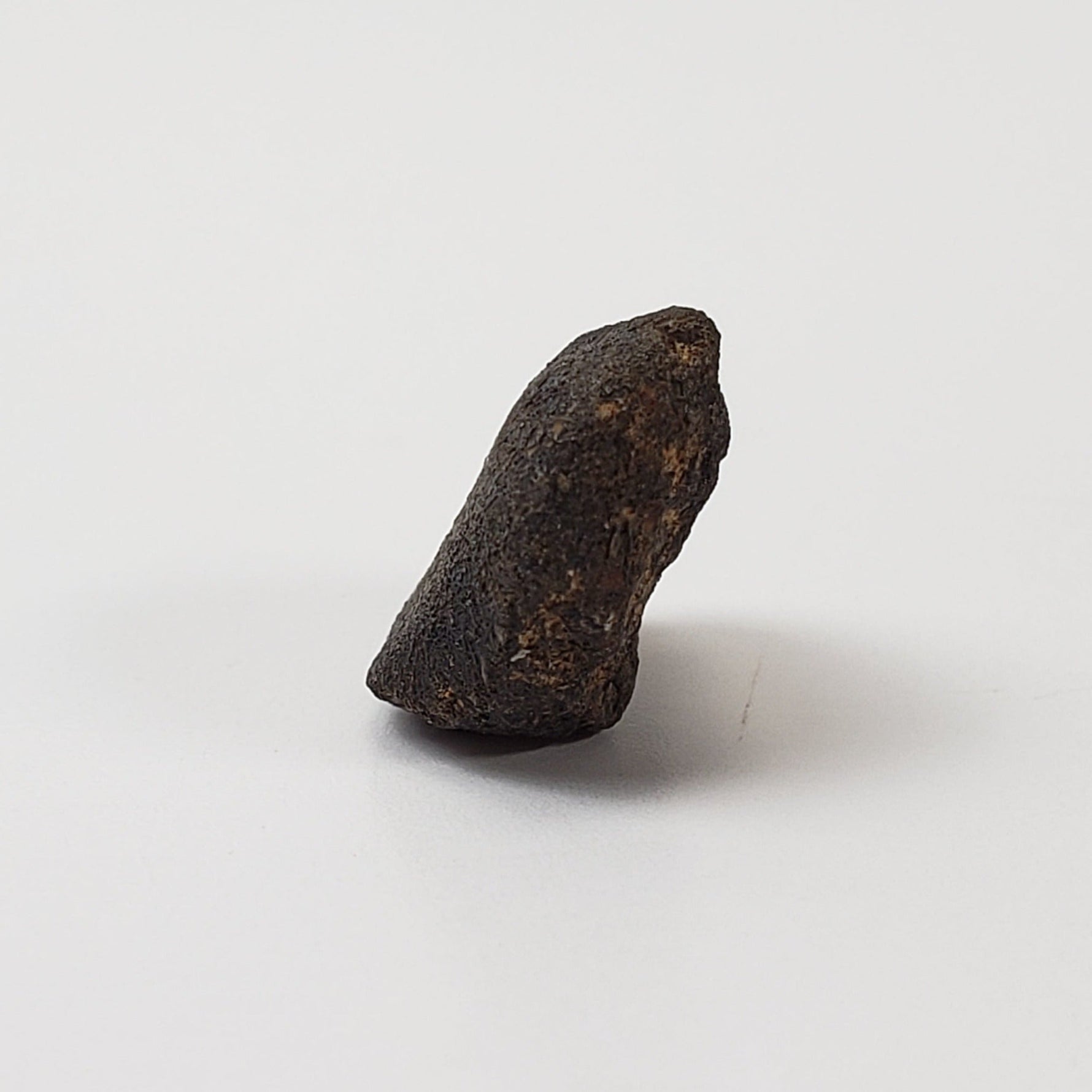   Camel Donga Meteorite | 1.42 Grams | Crusted Individual | Eucrite | Australia 