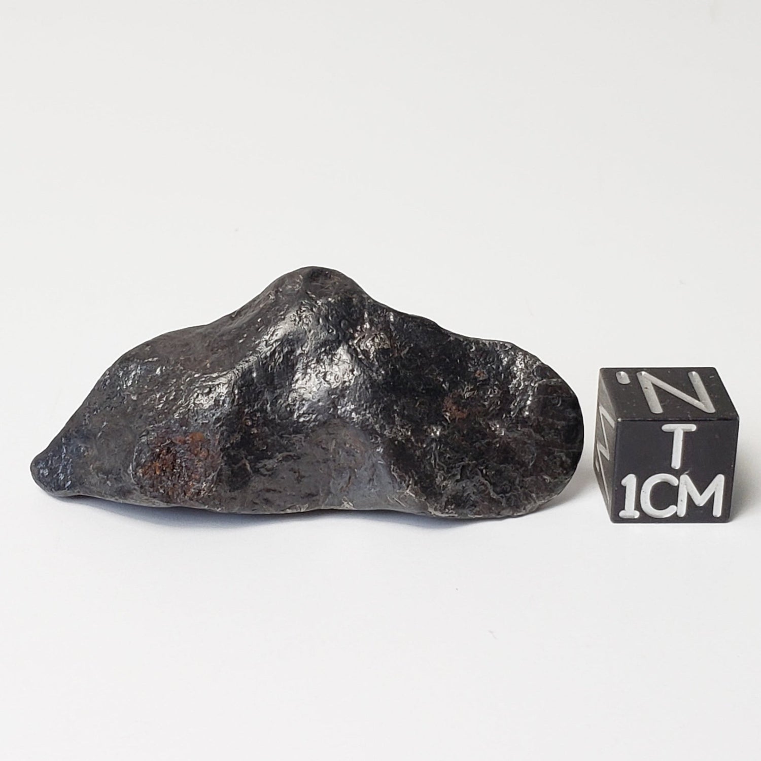   Canyon Diablo Meteorite | 40.5 Grams | Individual | Iron IAB-MG | Arizona U.S.A. 