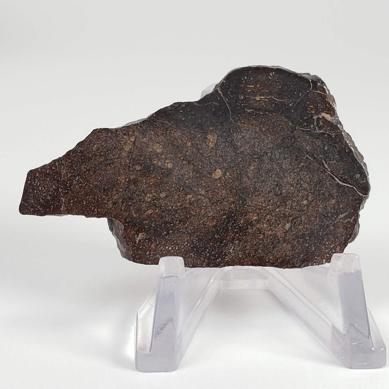 Capot Rey Meteorite | 15.88gr | Full Slice | H5 Chondrules | Found 2004 in Niger | Canagem.com