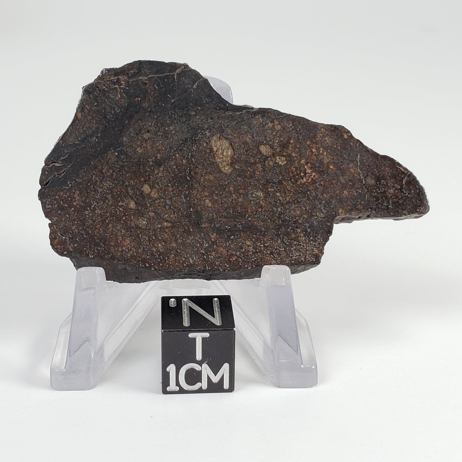 Capot Rey Meteorite | 15.88gr | Full Slice | H5 Chondrules | Found 2004 in Niger