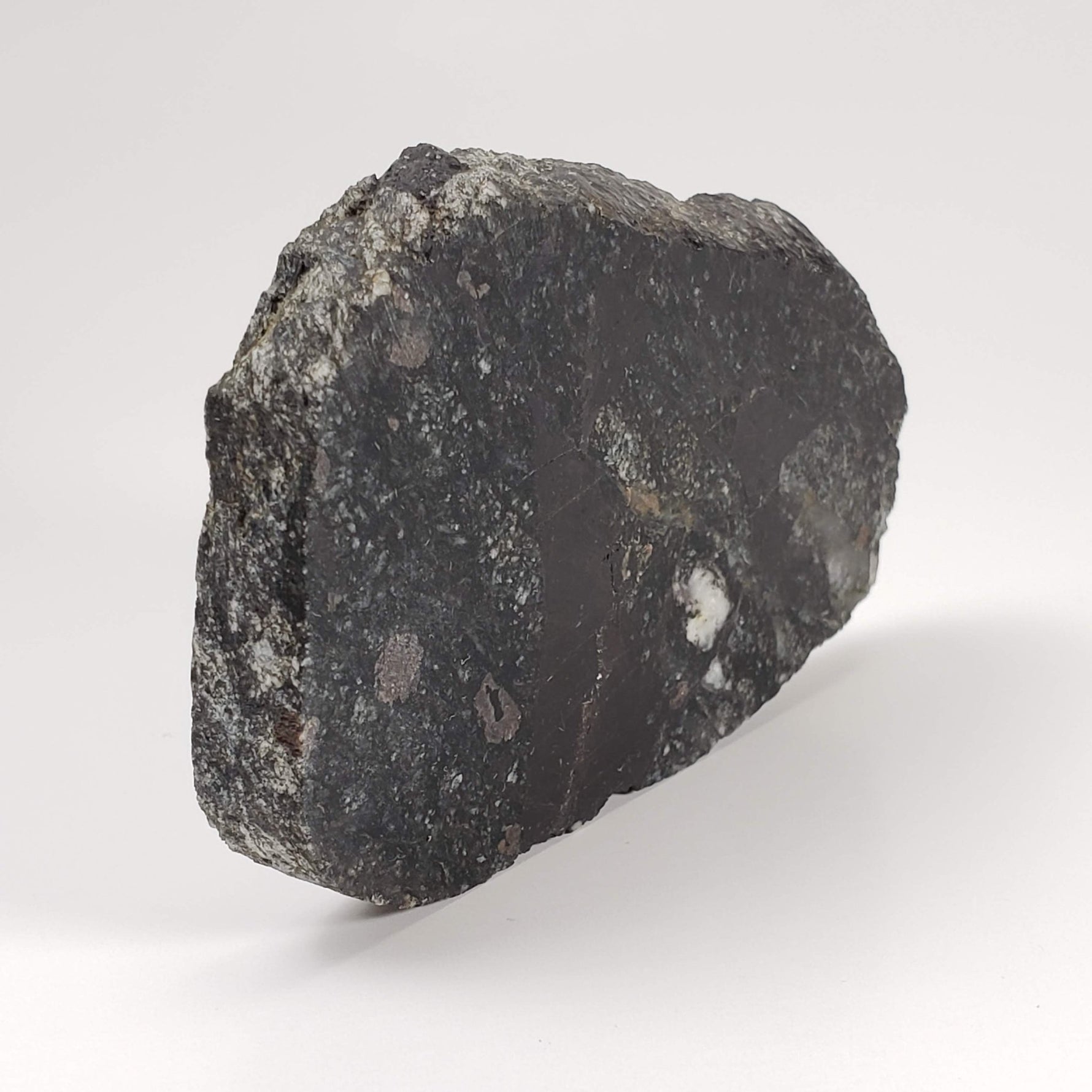 Dellenites Impact Melt Rock | 100 grams | HT Tagamite | Dellen Crater, Sweden | Canagem.com