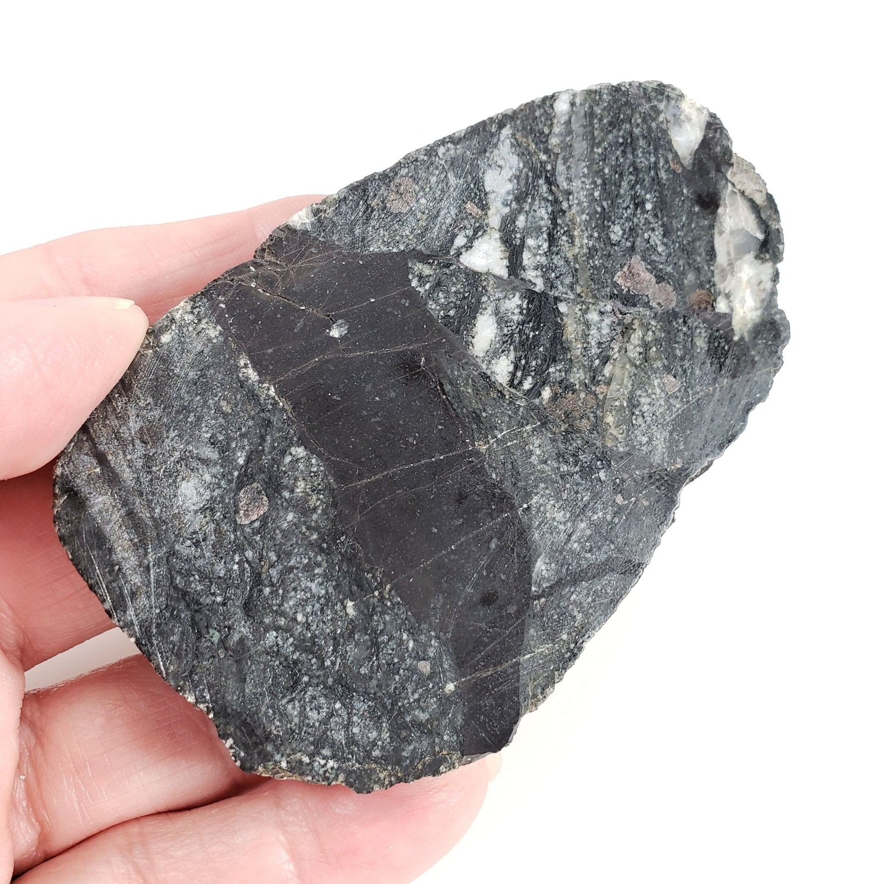 Dellenites Impact Melt Rock | 100 grams | HT Tagamite | Dellen Crater, Sweden | Canagem.com