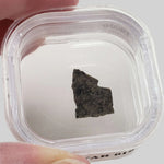 Dhofar 019 Meteorite | .360 Gr | Slice | Martian Basaltic Shergottite | Mars | Rare 4