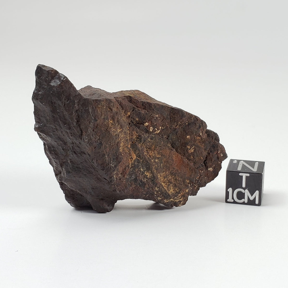 Dhofar 020 Meteorite | 40.3 Grams | Individual | H4/5 Shocked Chondrite | Oman Sahara Y2K | Canagem.com