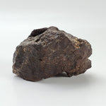   Dhofar 221 Meteorite | 142.8 Grams | Individual | L5 Shocked Chondrite | Sahara 