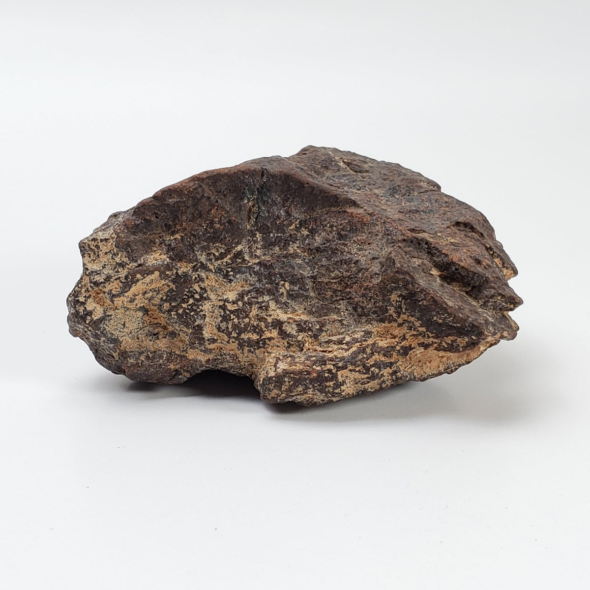   Dhofar 221 Meteorite | 142.8 Grams | Individual | L5 Shocked Chondrite | Sahara 