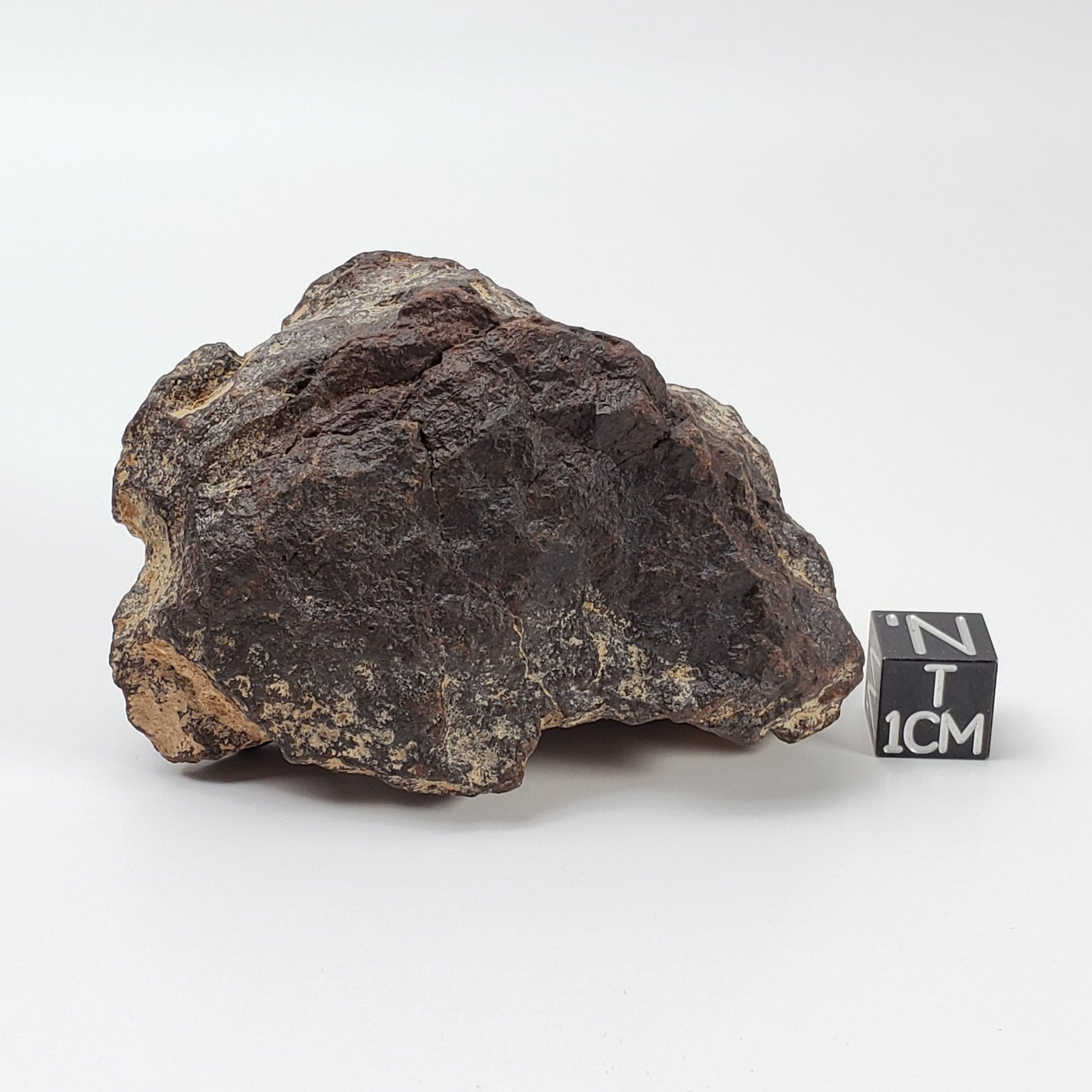   Dhofar 221 Meteorite | 142.8 Grams | Individual | L5 Shocked Chondrite | Sahara 