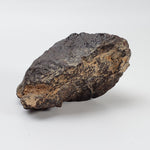   Dhofar 221 Meteorite | 142.8 Grams | Individual | L5 Shocked Chondrite | Sahara 