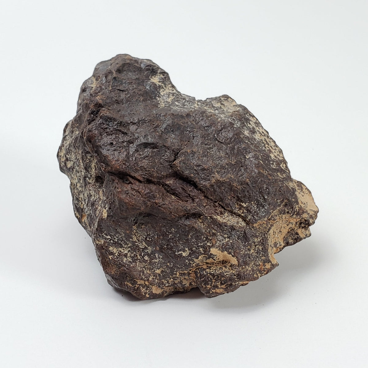   Dhofar 221 Meteorite | 142.8 Grams | Individual | L5 Shocked Chondrite | Sahara 