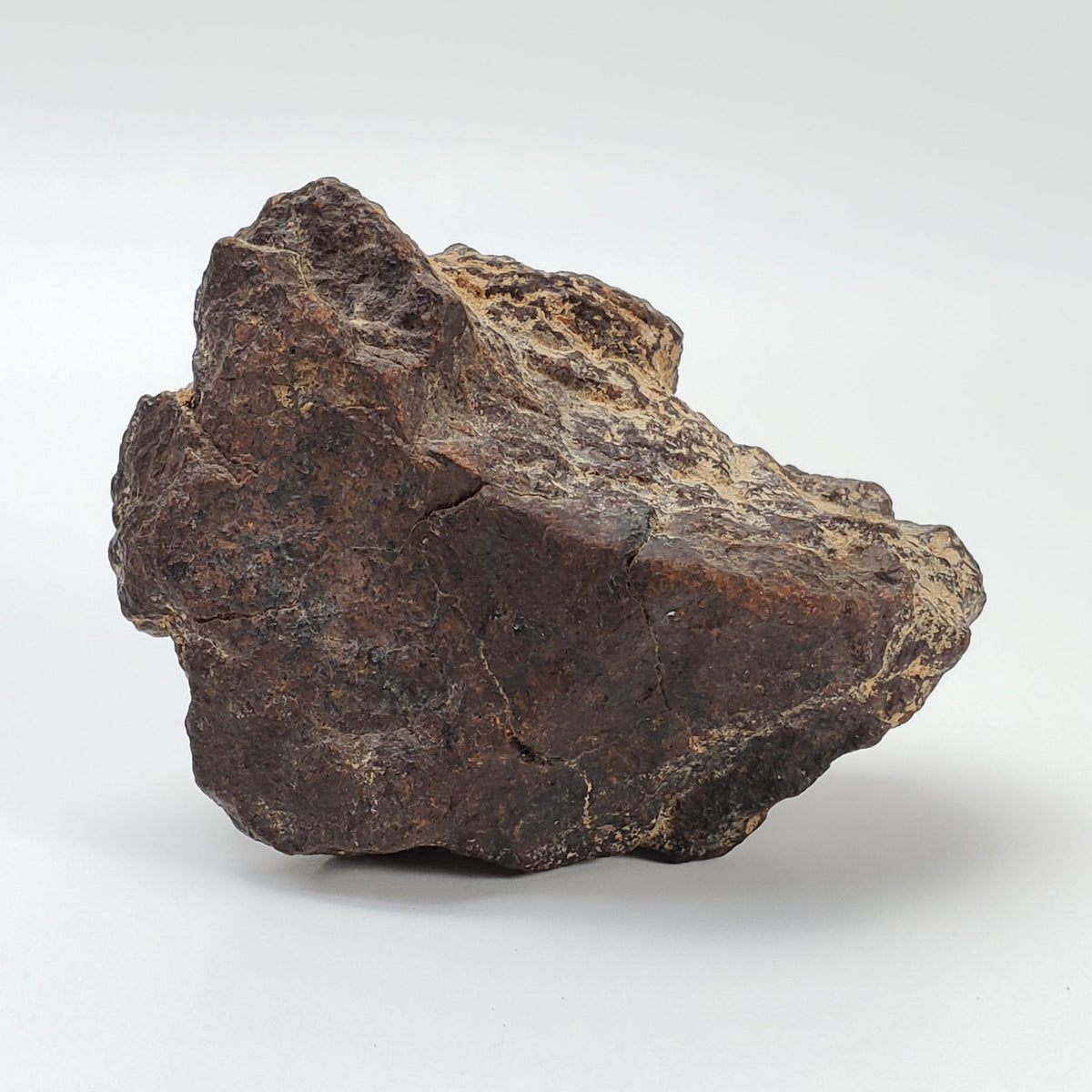   Dhofar 221 Meteorite | 142.8 Grams | Individual | L5 Shocked Chondrite | Sahara 