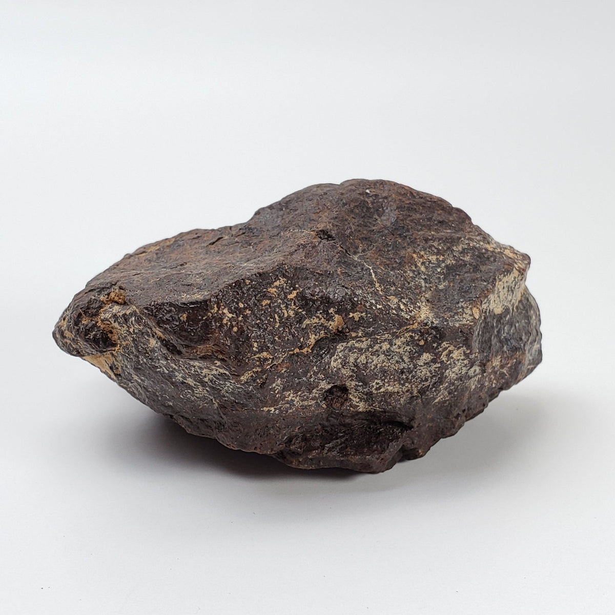   Dhofar 221 Meteorite | 142.8 Grams | Individual | L5 Shocked Chondrite | Sahara 